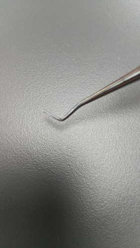 Chiropody Clippers Nippers Nail Cutters Manicure Pedicure Tools Podiatry choice - Picture 33 of 43