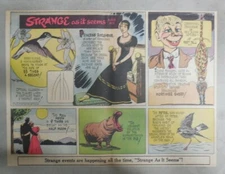 Strange As It Seems: Princess Borghese, Hummingbirds by Hix from ?/1950