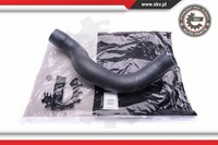 Esen SKV Ladeluftschlauch Passend FüR Audi A6 Avant 4F5 C6 2.0 Tfsi 4F2