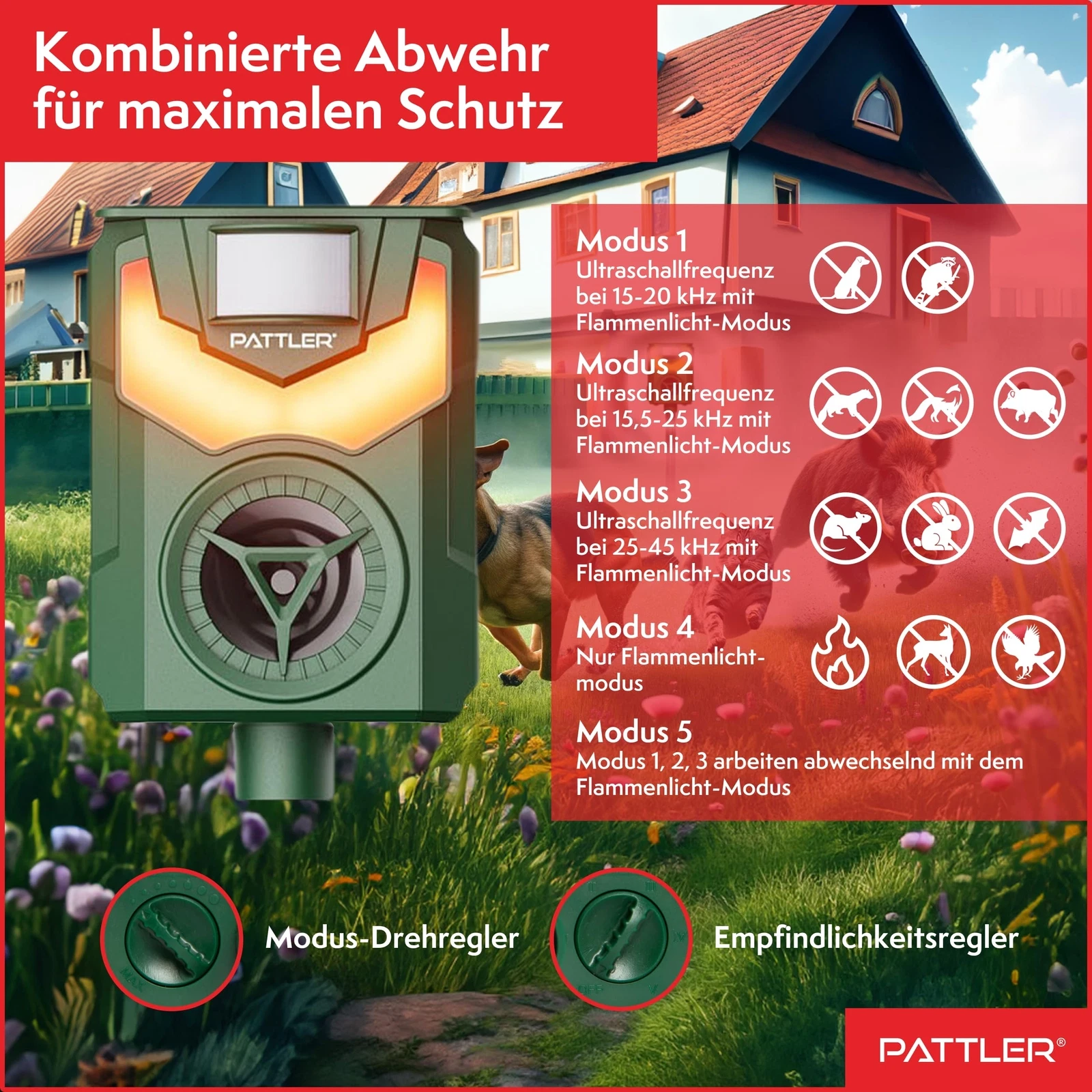 Bild 5 von 8
