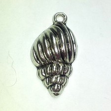 5 Shell Charms