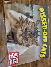 2025 Pissed Off Cat Calendar