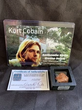 Kurt Cobain Nirvana Authentic House Brick Relic Hollywood Hills California