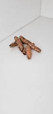 Tumeric
