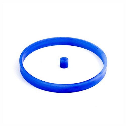 Anillo y clavija - Imagen 1 de 1