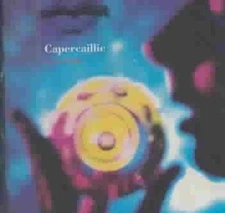 Secret People by Capercaillie [CD]