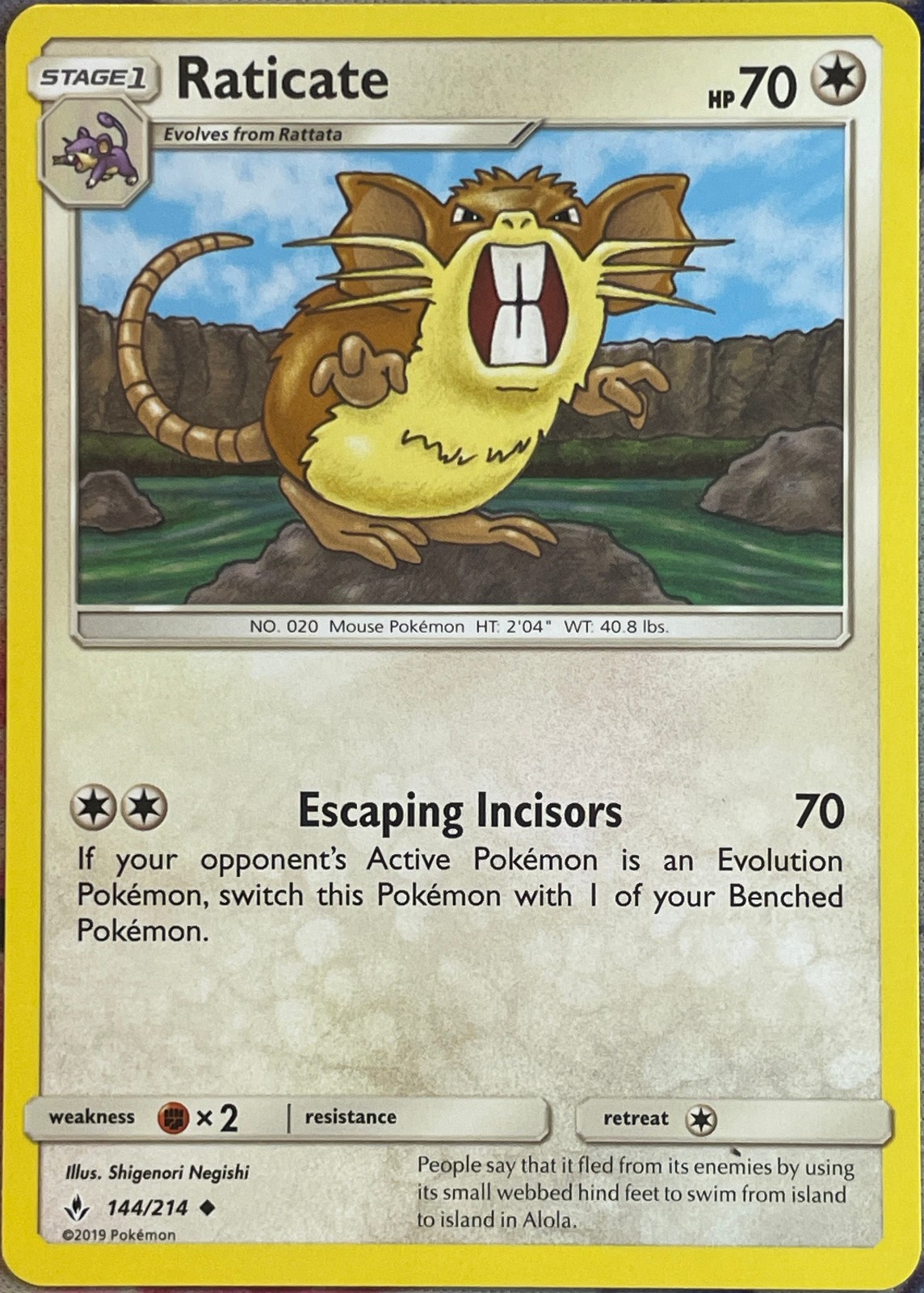 Raticate - 144/214 - Unbroken Bonds Pokemon 2019