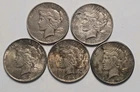 5 Peace Silver Dollars - Lot SK12