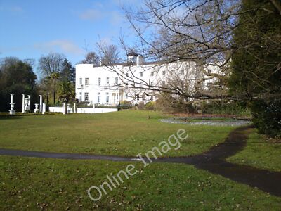 Foto 6x4 Sketty Hall Swansea\/Abertawe Krokusse oder Croci in Sketty Hall. c2010