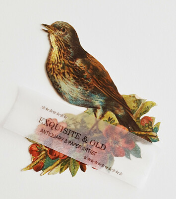 um 1900 Vogel rote Blüten Natur Glanzbild Prägedruck Oblate Luxuspapier Ephemera