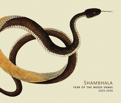 2025 Chinese New Year - Year of the Wood Snake - 4x6 Glossy Printed Photo