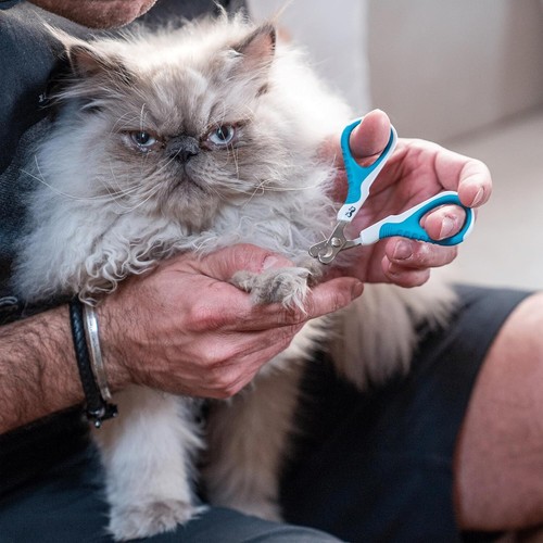 Mr. Pen - Tagliaunghie per Gatti, Tagliaunghie per Gattini, Tagliaunghie per Animali Domestici - Foto 4 di 10