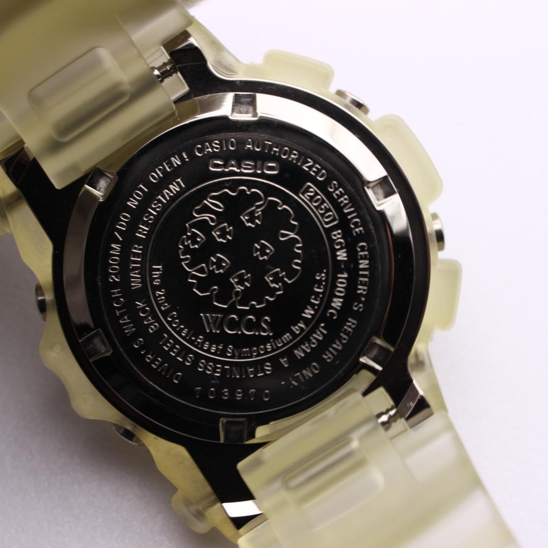 Rare CASIO Baby-G FROGMAN BGW-100WC Vintage Watch | eBay