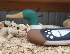 HG Decoy Millington MD Red Breasted Merganser Gunning Decoy