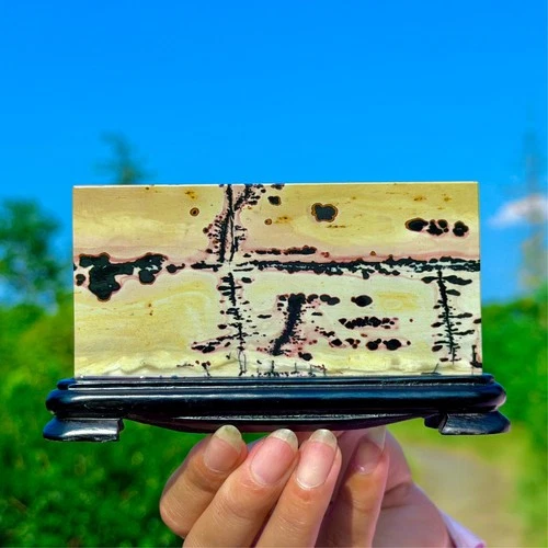 148G Natural Beautiful Chinese Dendritic Limestone Picture Stone Guohua-Rare