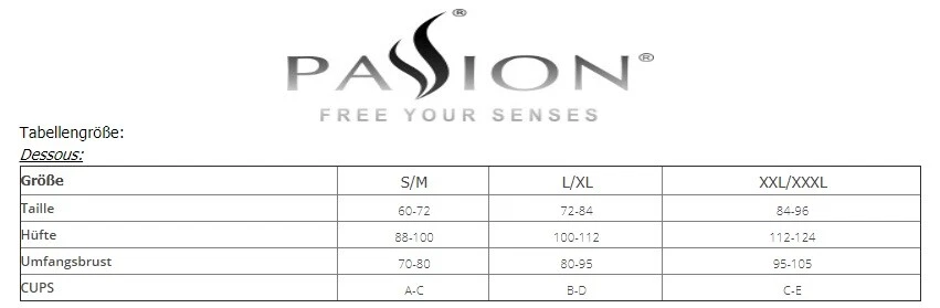 PASSION DESSOUS HARNESS SET schwarz bh string transparent bralette clubwear - Bild 4 von 4