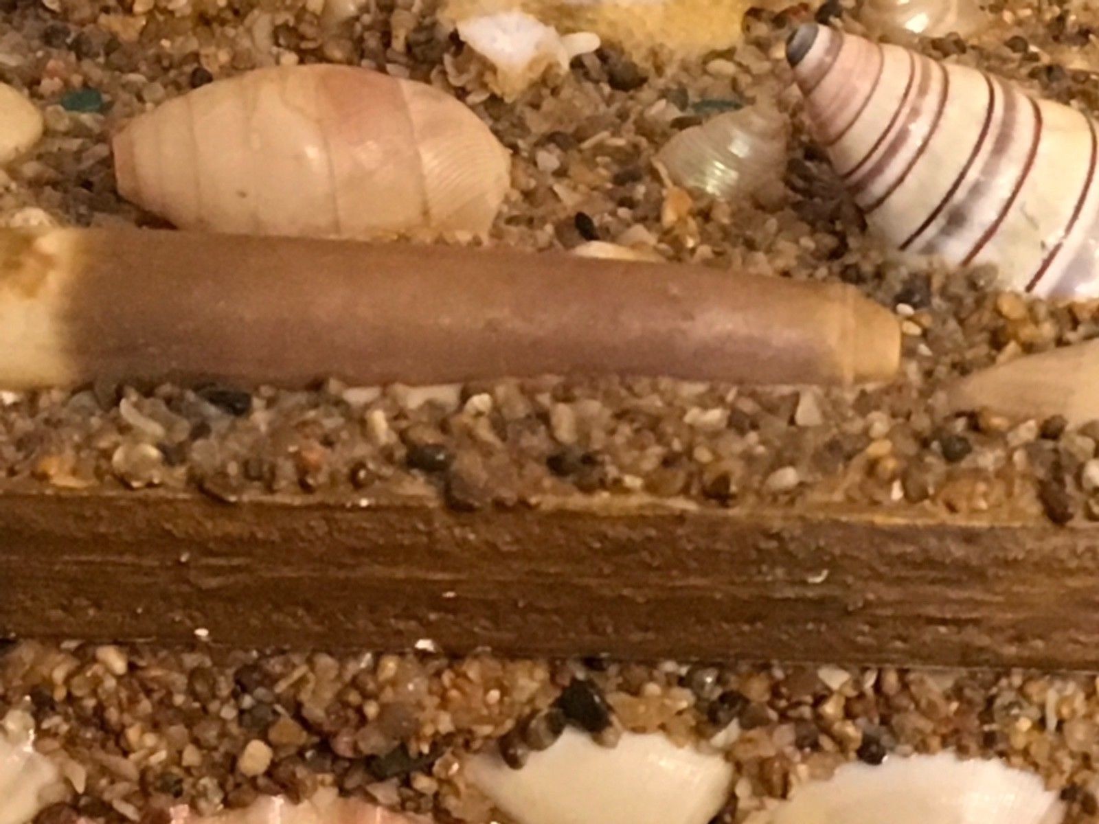 Sea Shell Art Shellwork Box Maritime Sailor Souvenir Handmade | eBay