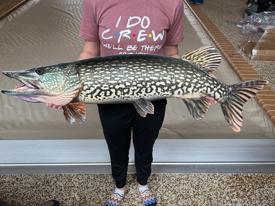 Northern Pike Replica Fish Art, 42" 2D FLAT Metal Northern Pike Wall Mount Decor - Image 4 of 4