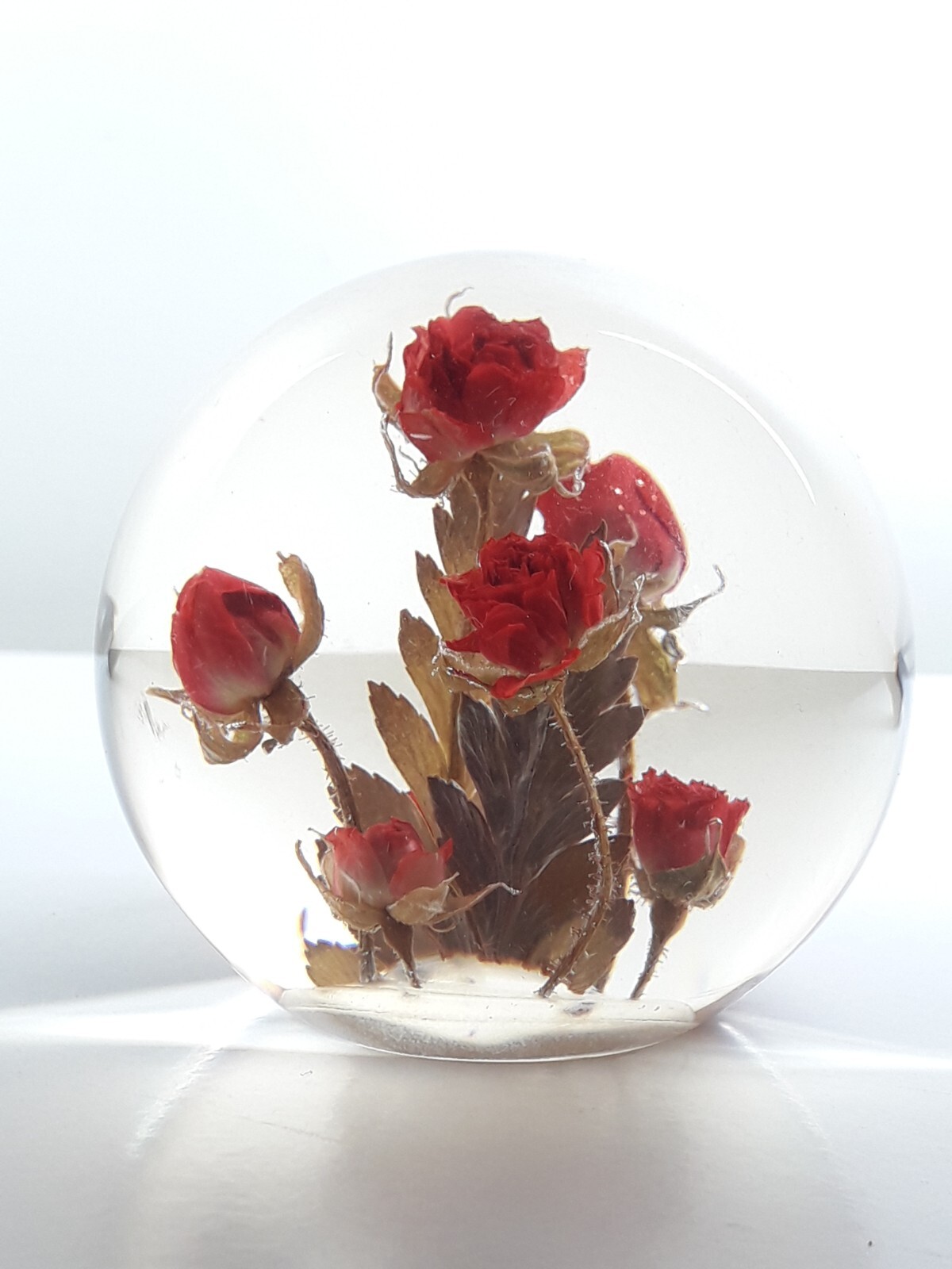 Vintage Hippocampus Paperweight 65mm Resin Red Rose's Hafod Grange