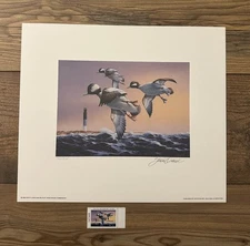 1994 NORTH CAROLINA - State Duck Stamp Print **PHILLIP CROWE** + Artist Stamp!