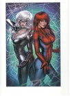 AMAZING SPIDER-MAN #20 ARIEL DIAZ EXCLUSIVE VIRGIN VARIANT BLACK CAT MARY JANE
