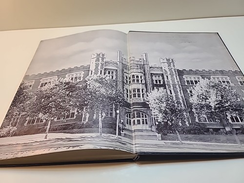 Annuario Delfino 1954 Università St. Louis Liceo Ragazzi Accademia - Foto 17 di 19