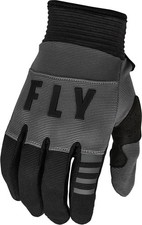 Image of Fly Racing Motorrad Offroad Handschuh MX-Gloves F-16 70402