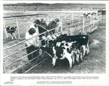 1984 Rainbow Acres Ranch Residents Feed Calves Arizona Press Photo