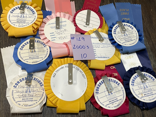 Lot 10 horse show ribbons rosettes crafts Race Watch Party Decor GA SC Clubs - 第 11/12 張圖片