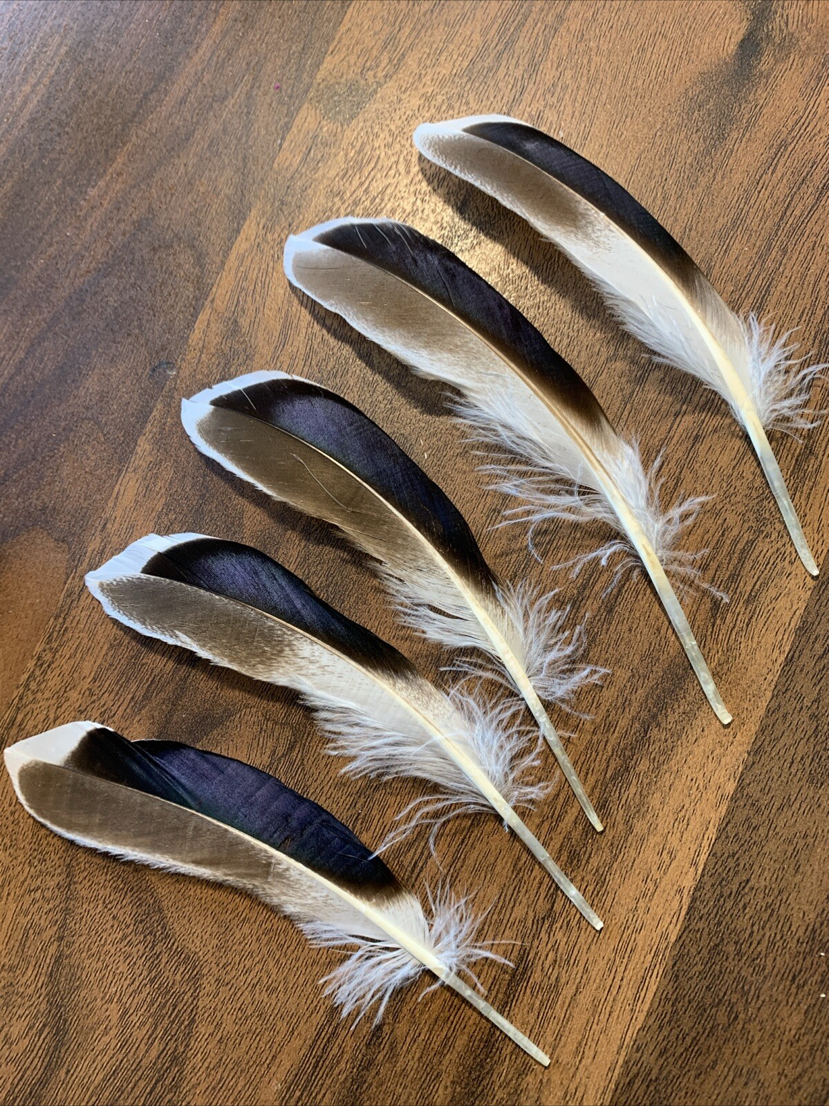 Picture 4 of 6
