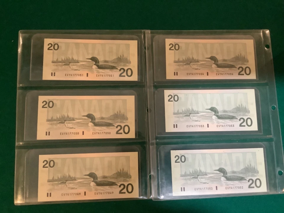 6 - Canadá consecutivo $20 1991 sin circular y como nuevo Foto 2 de 2