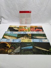 Lot Of 10 1975 Rencontre Bony Fishes 1 Education Cards