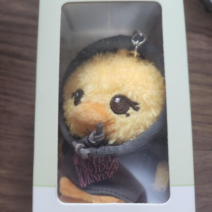 Blackpink LISA Official Concert Born Pink Mini Keyring PPEU  