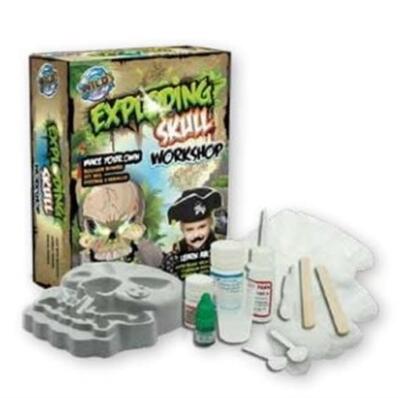Tedco Toys WS937 Exploding Skull Workshop