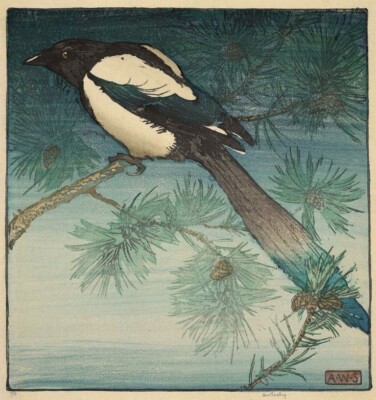 Magpie  :  Allen William Seaby : woodcut  : Archival Quality Art Print