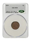 1894 indian head penny xf40, cac