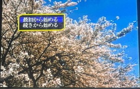 Sega Saturn Graduation S Limited Edition SS Software with accessories