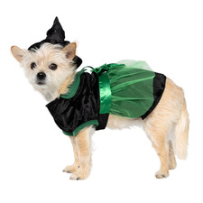 Vibrant Life Bad Witch Perro/Mascota Halloween Disfraz Sombrero y Conjunto Talla XS (5-10 libras)
