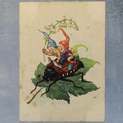 GNOME Dwarf rider may-lily cockchafer Maybug Vintage postcard 1940s 