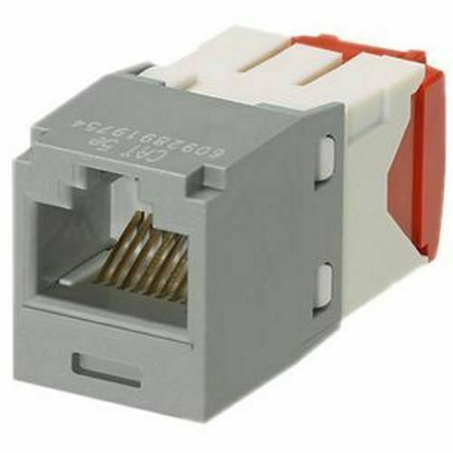 Panduit SP6X88-C Modular Plug Pack in 100 pieces for LAN Connector