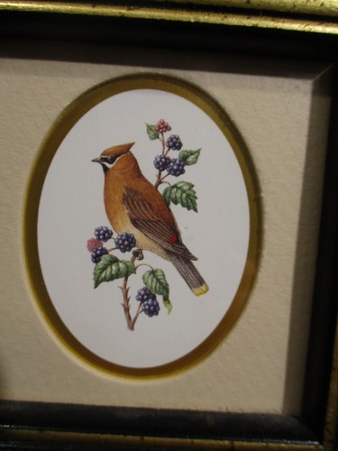Birds Kirkland's 8 Eight A Kathy Seek Small Framed Set Sz 4" x 4"x 3/8" - Picture 4 of 17