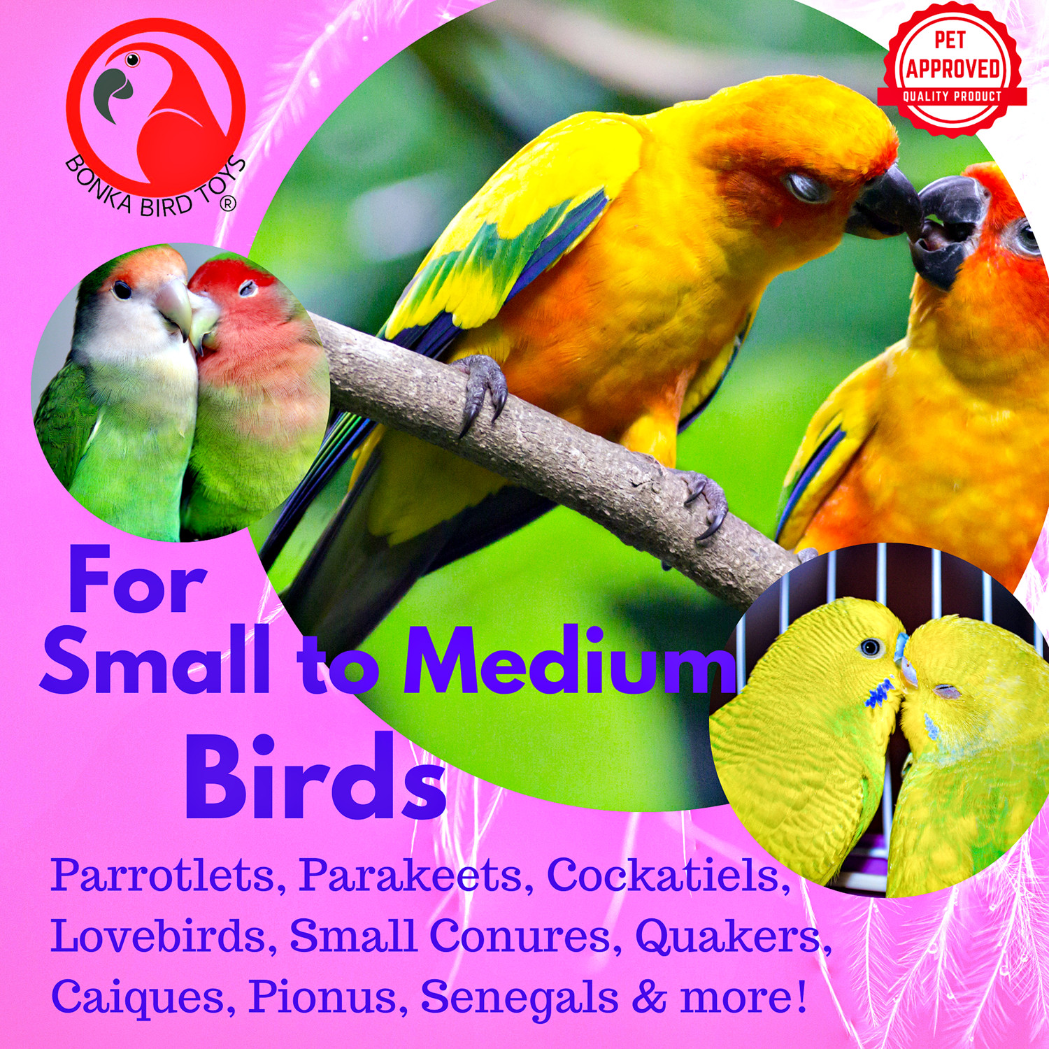 2234 Three Clear Foraging Box Feeder Parrot Bird Toy Seed feeders African grey