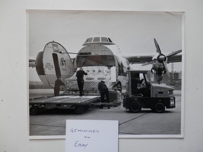 Großes Original Foto. Armstrong Whitworth Argosy AW650. BEA 102 Serie.