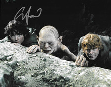 * ELIJAH WOOD * signed 8x10 photo * LORD OF THE RINGS * COA *