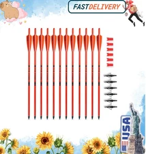 Crossbow Bolts 20inch Fluorescence Color Carbon Crossbow Hunting Arrows with