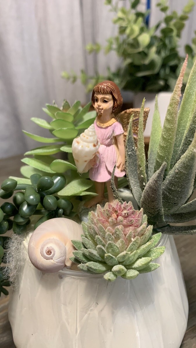 Succulent Fairy Beach Garden | eBay