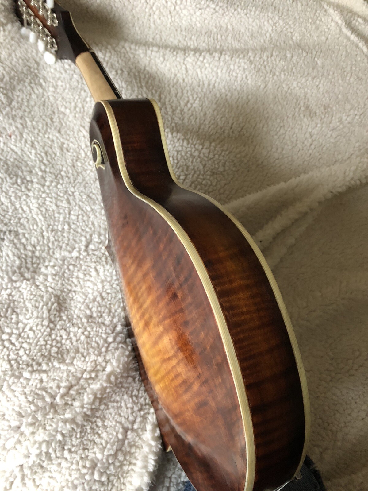 mandolins musical instrument f style eBay