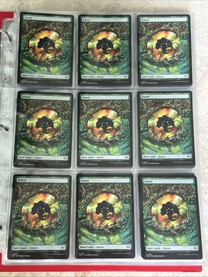 5 X Forest Full Art Dragon Eye Basic Land MTG Tarkir Dragonstorm