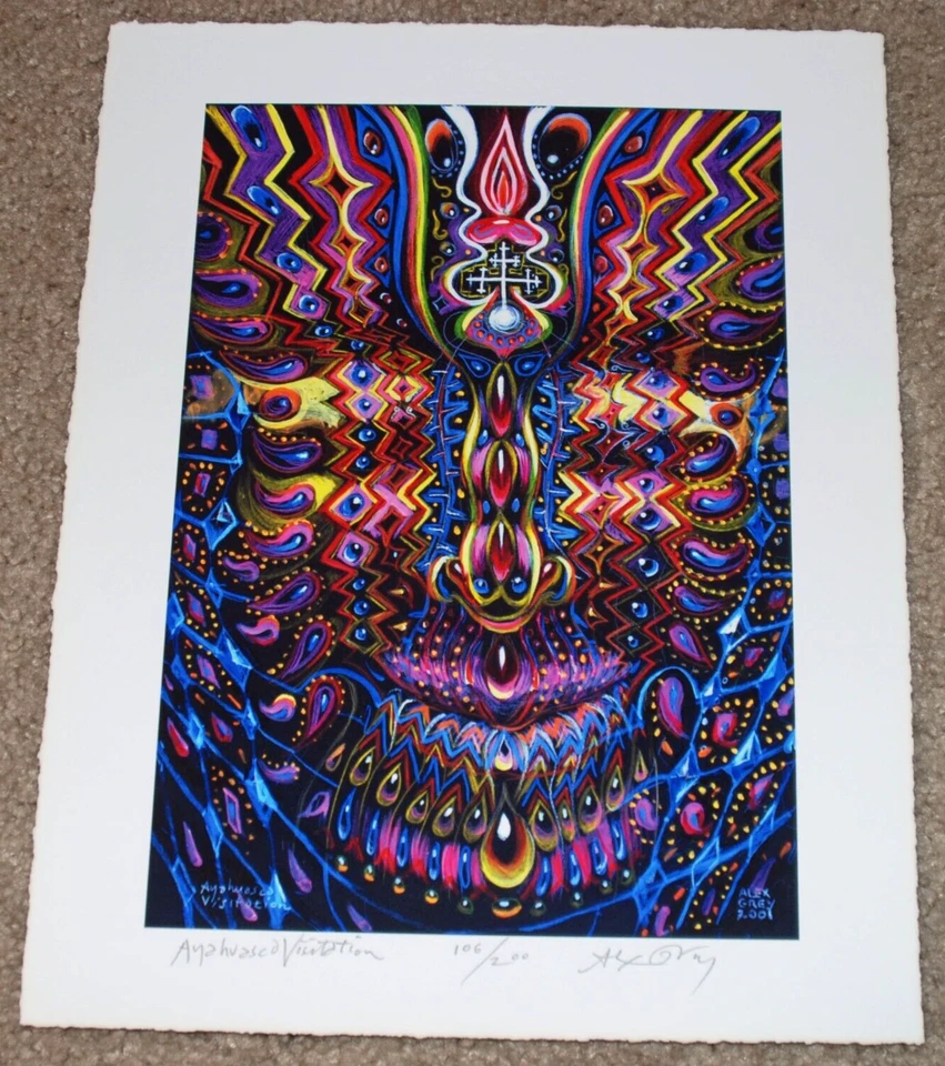 Alex Grey Art Print Ayahuasca Visitation S/# 200 Psychedelic Third Eye Poster - Image 4 of 4