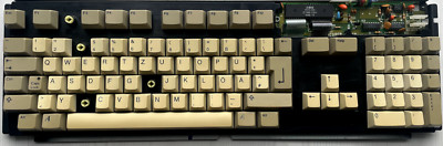 1 Stück Taste  für SAMSUNG Commodore AMIGA 500 Tastaturen Ersatztaste AUSWÄHLBAR